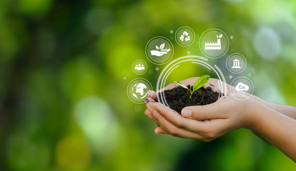 Eco-activos aumentan en Costa Rica: ¿quiénes son y cómo se informan?