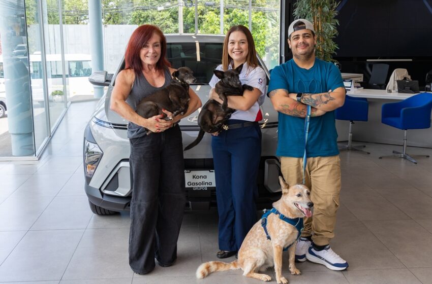  Lanzan campañas para el bienestar de perros en vulnerabilidad