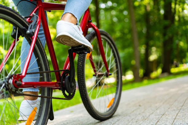  Lanzan asistente virtual para educación en movilidad y seguridad ciclística