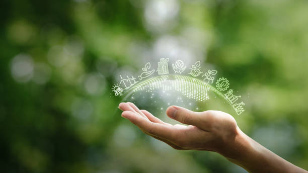 Expo Ambiente 2025 reunirá a más de 40 empresas para impulsar negocios sostenibles en Costa Rica