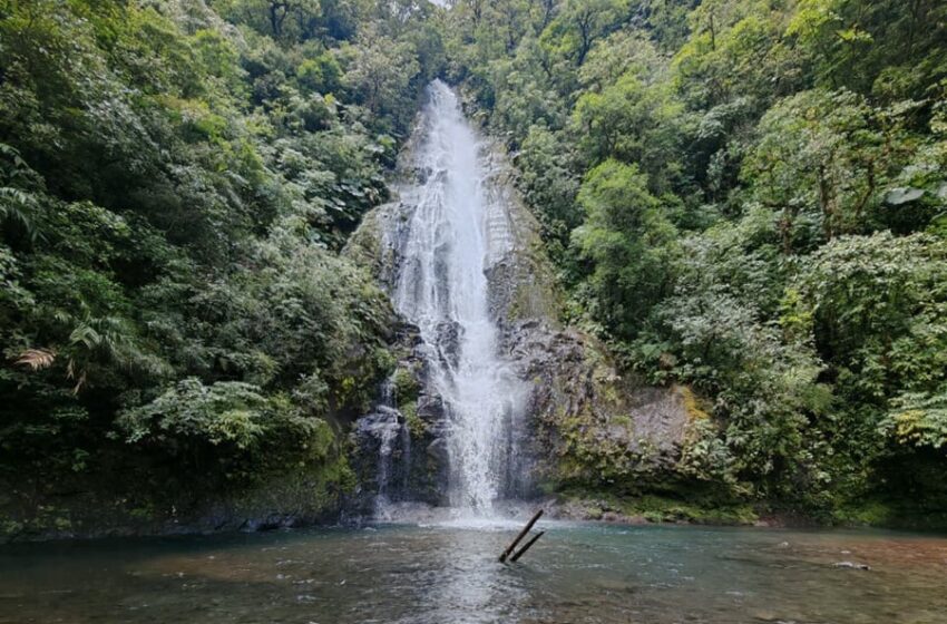  Temporada verde impulsa lujo, naturaleza y tarifas especiales para descubrir Costa Rica