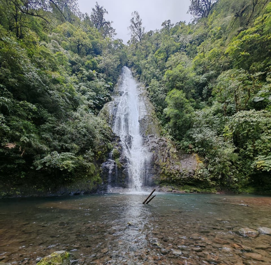 Temporada verde impulsa lujo, naturaleza y tarifas especiales para descubrir Costa Rica