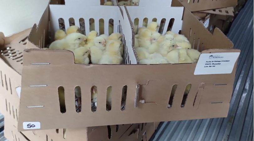 Granja Roblealto expande su impacto social con exportaciones a Panamá