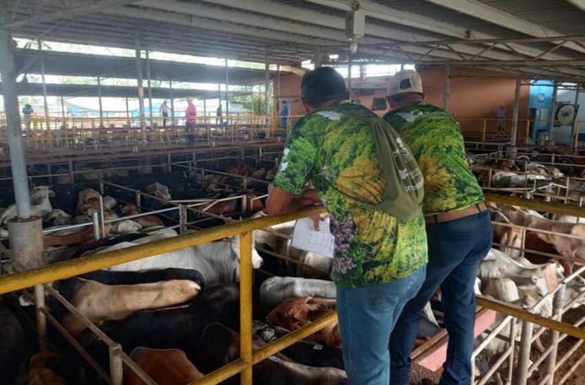  Fondo Ecovida impulsa en Sarapiquí un modelo exitoso de conservación comunitaria