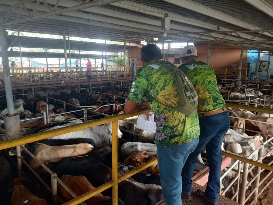 FONDO ECOVIDA IMPULSA EN SARAPIQUÍ UN MODELO EXITOSO DE CONSERVACIÓN COMUNITARIA