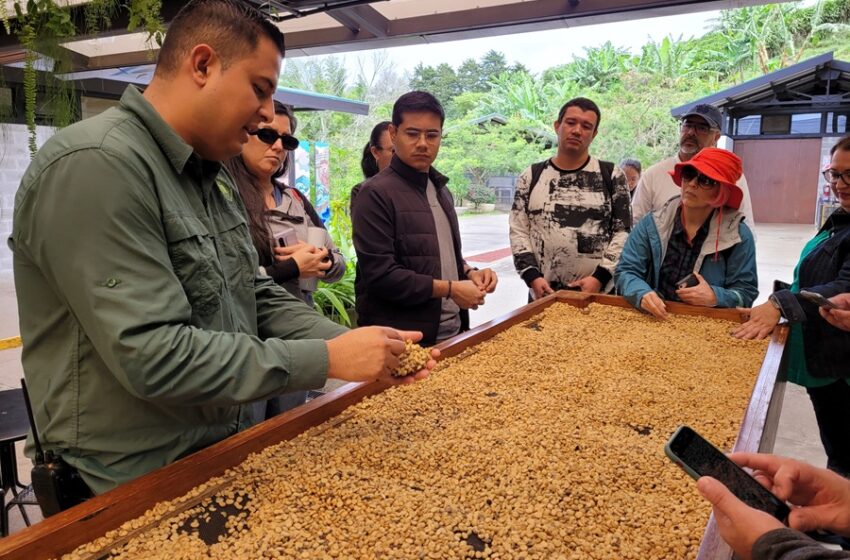  Starbucks impulsa experiencias educativas y sensoriales en Costa Rica durante el Mes Global del Café