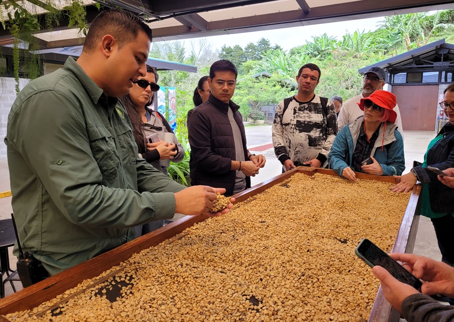 Starbucks impulsa experiencias educativas y sensoriales en Costa Rica durante el Mes Global del Café