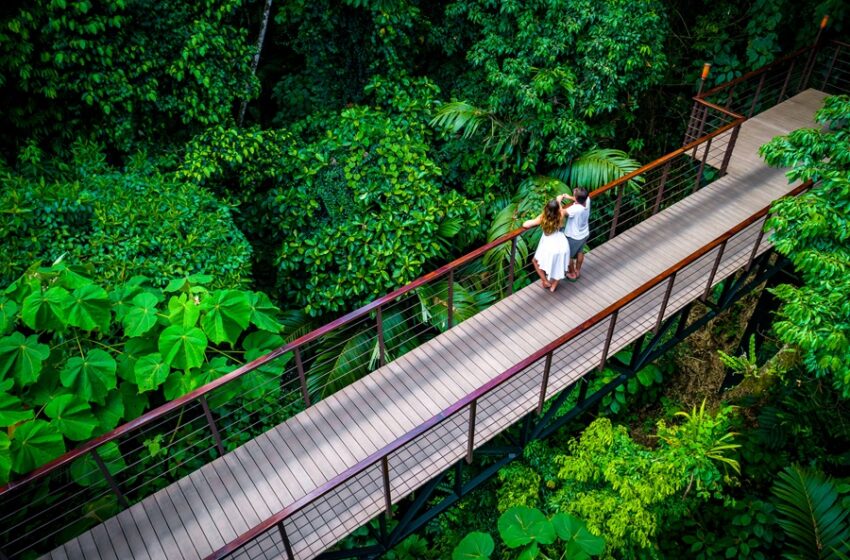  Millennials redefinen el turismo hacia experiencias auténticas y culturales en Costa Rica