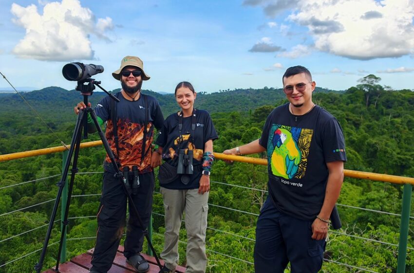  Así nació el Refugio Lapa Verde, un modelo de conservación en Sarapiquí