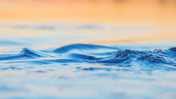  Abren concurso para mejorar la calidad del agua con ayuda de IA