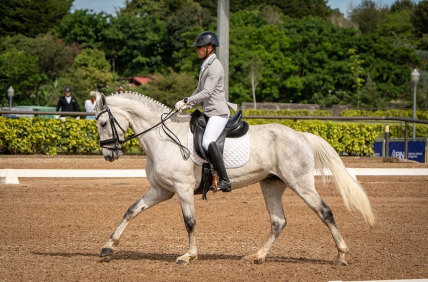  Estas son varias actividades para disfrutar en el país