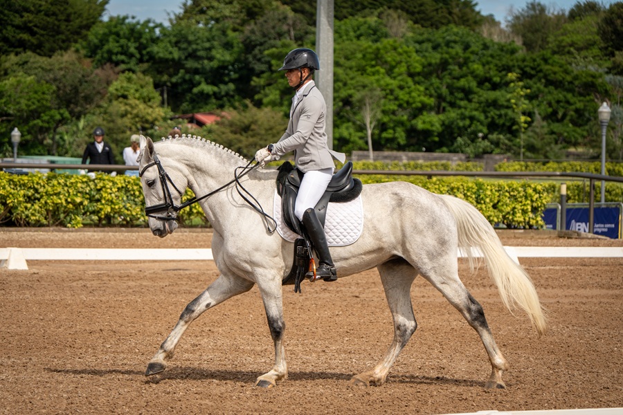 Estas son varias actividades para disfrutar en el país