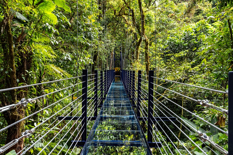 Presentan primer puente colgante de vidrio de Costa Rica
