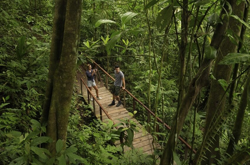  Origins Lodge impulsa el lujo “no turístico” en las montañas de Upala con una apuesta por la sostenibilidad y la autenticidad