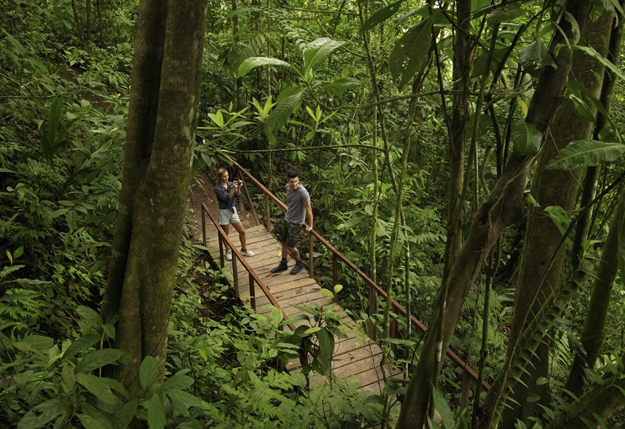 Origins Lodge impulsa el lujo “no turístico” en las montañas de Upala con una apuesta por la sostenibilidad y la autenticidad