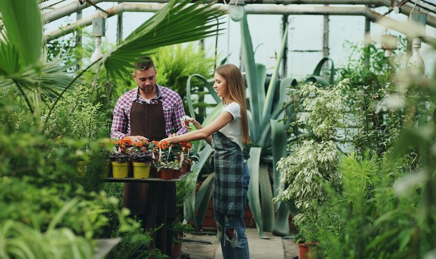  En estos sectores genera empleo verde más del 50% de las empresas en el país