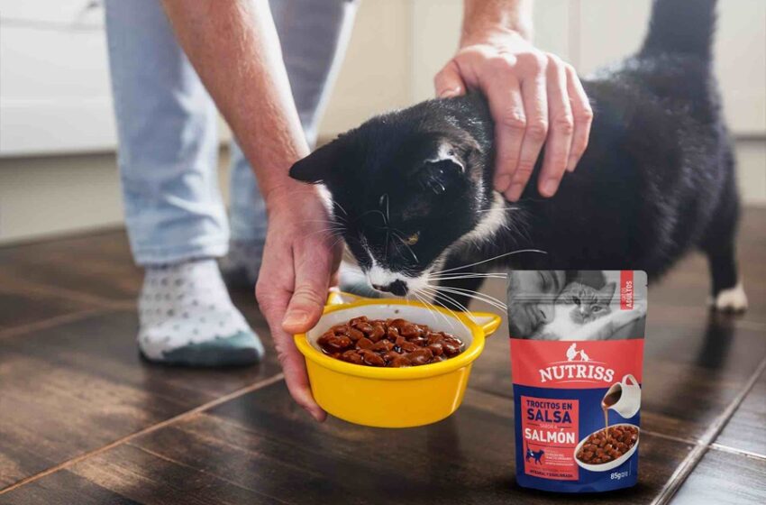  CMI amplía portafolio de productos enfocado en nutrición para mascotas