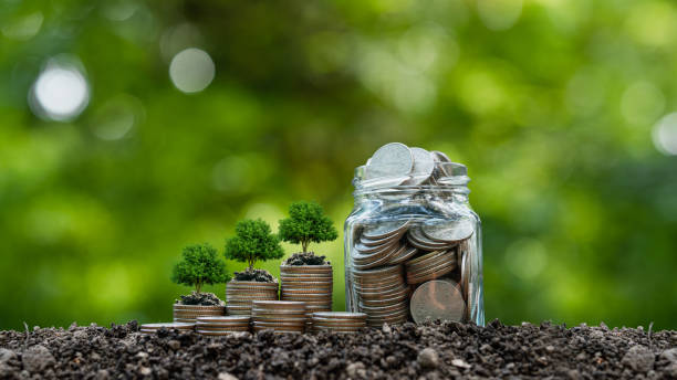 Mapfre reduce un 6% su huella de carbono operativa y compensa el 84% de sus emisiones