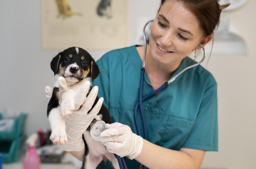  País será sede de Congreso de Asistentes Veterinarios