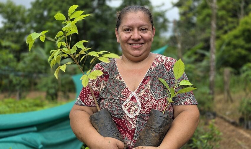  Jefas de hogar cultivan árboles para proteger fuentes de agua