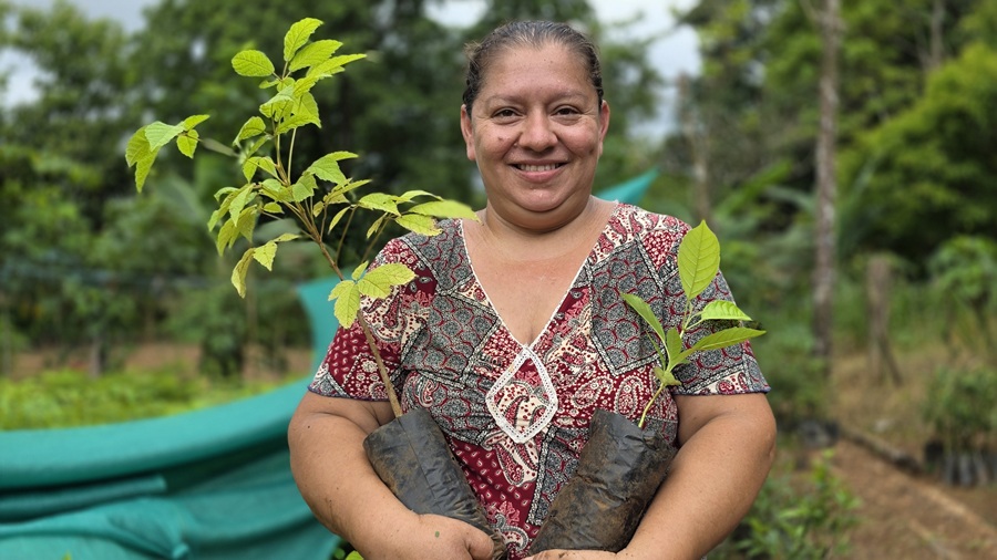 Jefas de hogar cultivan árboles para proteger fuentes de agua