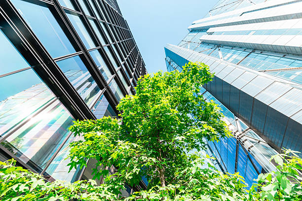 El reto de proteger la biodiversidad durante las obras de infraestructura