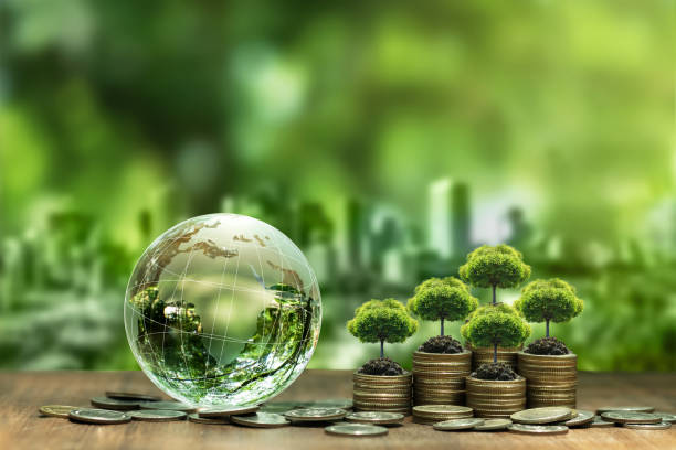 Bosques del país almacenaron carbono por un valor equivalente al 17% del PIB durante el 2013 y 2023