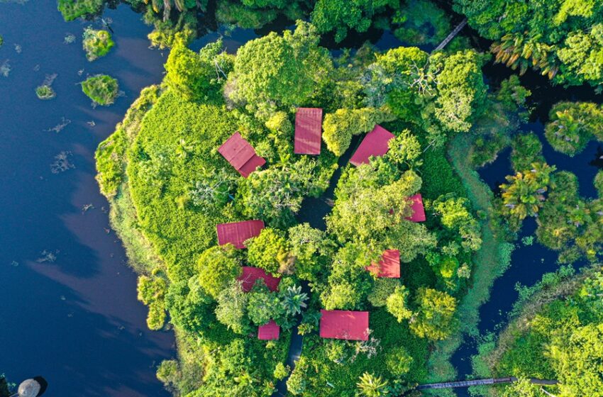 Así nació el Hotel Maquenque Lodge en Boca Tapada