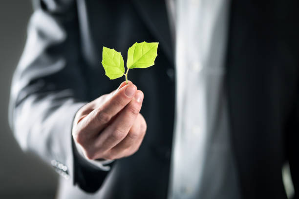Cambio climático modifica perfil de riesgo de las carteras agrícolas e inmobiliarias