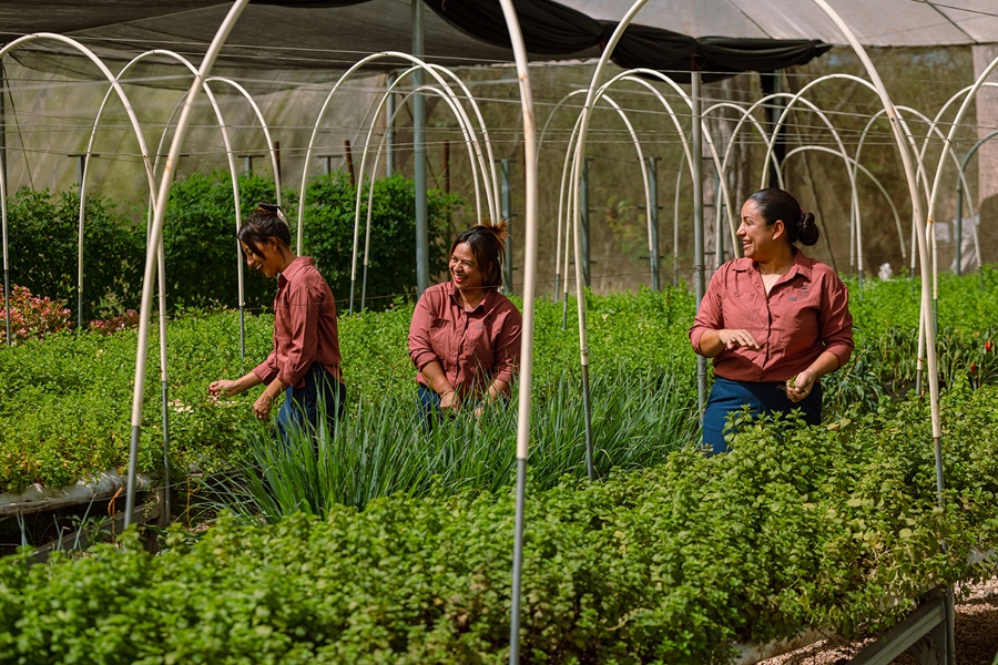 Así varias madres guanacastecas lideran iniciativa que impulsa su desarrollo