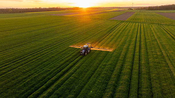 ¿Cómo los riesgos agropecuarios impactan a las empresas?