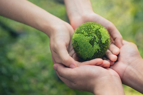 85% de empresas latinoamericanas busca alianzas para soluciones de conservación ambiental