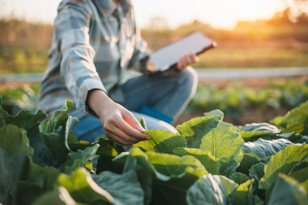 62% de empresas alimentarias y agricultura considera controlar causas de riesgos